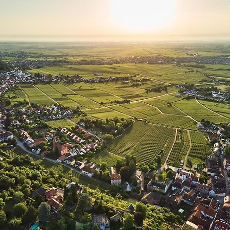 Weinzeit13 Leilighet Neustadt an der Weinstraße Eksteriør bilde