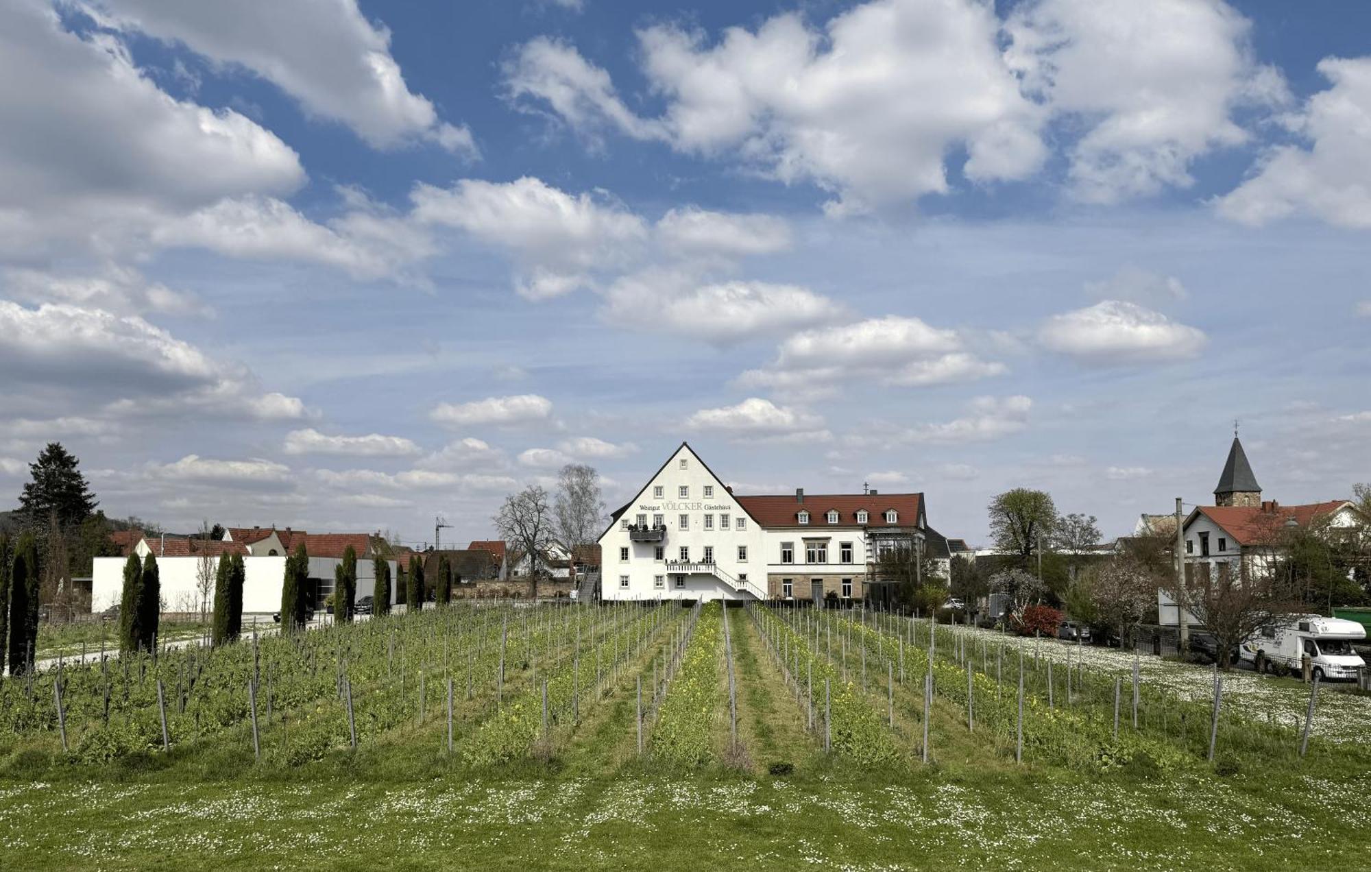 Weinzeit13 Leilighet Neustadt an der Weinstraße Eksteriør bilde