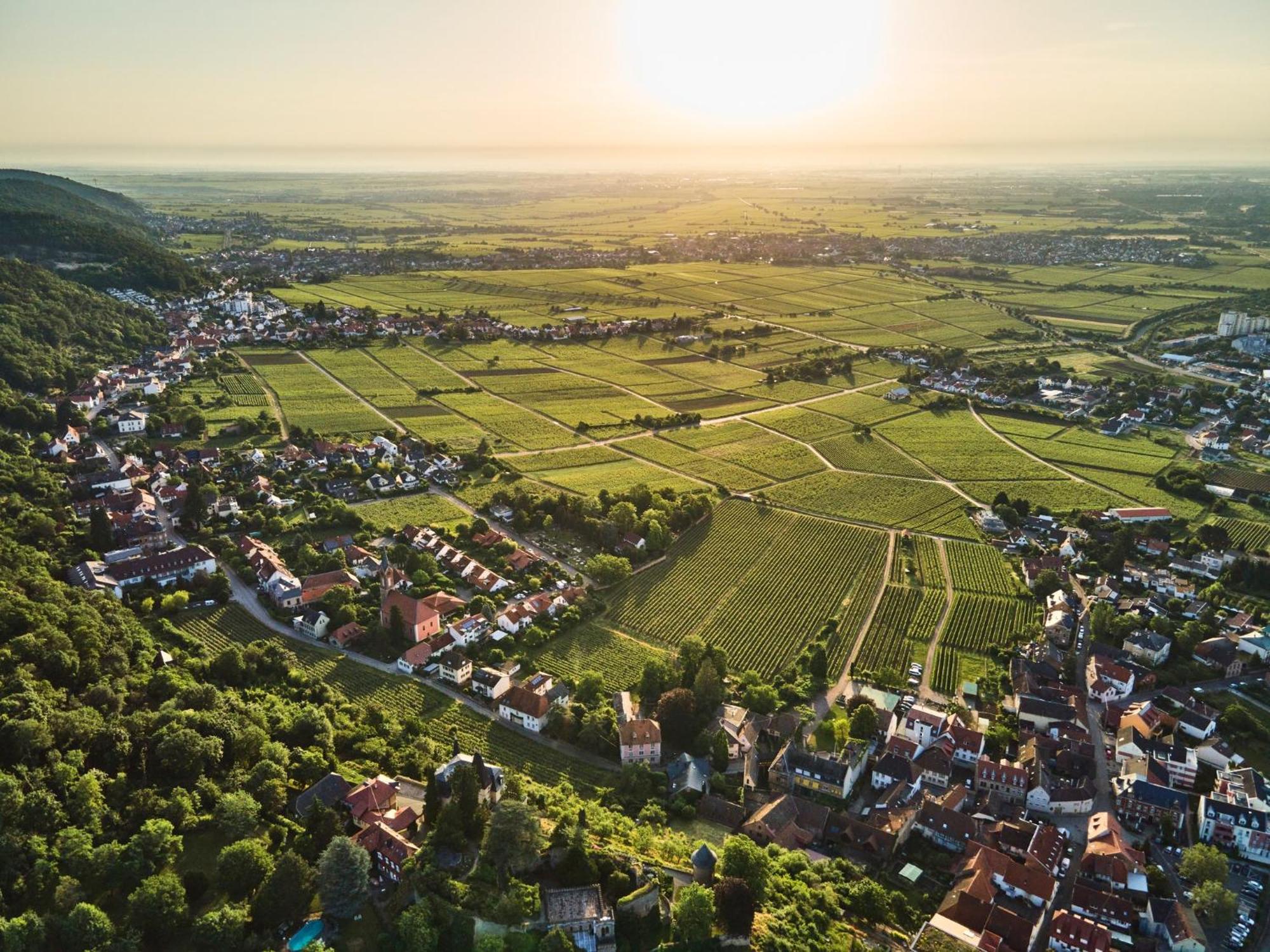 Weinzeit13 Leilighet Neustadt an der Weinstraße Eksteriør bilde